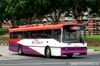 Thumbnail: SBS978E — Historical archive of a Volvo B10M Mark IV (Duple Metsec) single-deck bus operating on service 113 under SBS Transit. Photographed in August 2008, buses of this model type have since been completely retired from passenger service.