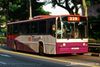 Thumbnail: SBS77E — Historical archive of a Scania N113CRB single-deck bus operating on service 229 under SBS Transit. Photographed in March 2009, buses of this model type have since been completely retired from passenger service.
