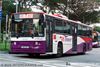 Thumbnail: SBS79A — Historical archive of a Scania N113CRB single-deck bus operating on service 81 under SBS Transit. Photographed in March 2008, buses of this model type have since been completely retired from passenger service.