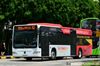 Thumbnail: SG1053D  — A Mercedes-Benz O530 (Citaro) single-deck bus serving commuters on service 82 under current bus operator Go-Ahead Singapore in September 2016.