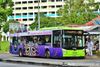 Thumbnail: SG1750A — A MAN Lion`s City Euro VI (NL323F / A22) single-deck bus, pictured carrying a Chingay50 advertisement, serving commuters on service 806 under current bus operator SBS Transit.