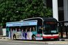 Thumbnail: SMB1345J  — A MAN NL323F (A22) (Gemilang) single-deck bus serving commuters on service 75 under current bus operator SMRT Buses in May 2016.