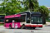 Thumbnail: SMB1351R — A MAN NL323F (A22) (Gemilang) single-deck bus, pictured carrying a Foodpanda advertisement, serving commuters on service 912A under current bus operator SMRT Buses in May 2021.