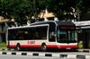 Thumbnail: SMB3073E  — A MAN NL323F (A22) (Gemilang) single-deck bus serving commuters on service 800 back when it was operated by SMRT Buses in September 2015.