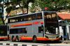 Thumbnail: SMB3596M — A Alexander Dennis Enviro500 MMC double-deck bus serving commuters on service 800 back when it was operated by SMRT Buses in March 2018.
