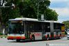 Thumbnail: SMB8003A — A MAN NG363F (A24) articulated (bendy) bus serving commuters on service 804 back when it was operated by SMRT Buses in September 2016.