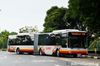 Thumbnail: SMB8037C — A MAN NG363F (A24) articulated (bendy) bus serving commuters on service 858 back when it was operated by SMRT Buses in November 2015.