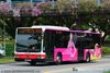 Thumbnail: SMB164X — A Mercedes-Benz O.530 Citaro single-deck bus serving commuters on service 855 back when it was operated by SMRT Buses in August 2013.