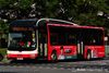 Thumbnail: SMB239P — A MAN NL323F (A22) (Gemilang) single-deck bus serving commuters on service 184 under current bus operator SMRT Buses.