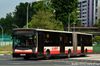 Thumbnail: TIB1019Z — Historical archive of a Mercedes-Benz O.405G (Hispano Habit) articulated (bendy) bus operating on service 903 under SMRT Buses. Photographed in October 2017, buses of this model type have since been completely retired from passenger service.