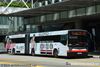 Thumbnail: TIB1042E — Historical archive of a Mercedes-Benz O.405G (Hispano Habit) articulated (bendy) bus operating on service 190 under SMRT Buses. Buses of this model type have since been completely retired from passenger service.