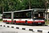 Thumbnail: TIB1060C — Historical archive of a Mercedes-Benz O.405G (Hispano Habit) articulated (bendy) bus operating on service 800 under SMRT Buses. Photographed in September 2008, buses of this model type have since been completely retired from passenger service.