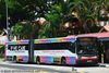 Thumbnail: TIB1078C — Historical archive of a Mercedes-Benz O.405G (Hispano Habit) articulated (bendy) bus operating on service 67 under SMRT Buses. Buses of this model type have since been completely retired from passenger service.