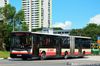 Thumbnail: TIB1100X — Historical archive of a Mercedes-Benz O.405G (Hispano Habit) articulated (bendy) bus operating on service 190 under SMRT Buses. Photographed in June 2017, buses of this model type have since been completely retired from passenger service.