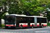 Thumbnail: TIB1105H — Historical archive of a Mercedes-Benz O.405G (Hispano Habit) articulated (bendy) bus operating on service 184 under SMRT Buses. Photographed in August 2014, buses of this model type have since been completely retired from passenger service.