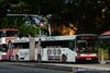 Thumbnail: TIB1115D — Historical archive of a Mercedes-Benz O.405G (Hispano Habit) articulated (bendy) bus operating on service 67 under SMRT Buses. Buses of this model type have since been completely retired from passenger service.