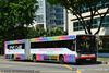 Thumbnail: TIB1131G — Historical archive of a Mercedes-Benz O.405G (Hispano Habit) articulated (bendy) bus operating on service 61 under SMRT Buses. Buses of this model type have since been completely retired from passenger service.