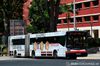 Thumbnail: TIB1135X — Historical archive of a Mercedes-Benz O.405G (Hispano Habit) articulated (bendy) bus operating on service 67 under SMRT Buses. Photographed in February 2015, buses of this model type have since been completely retired from passenger service.
