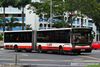 Thumbnail: TIB1140E — Historical archive of a Mercedes-Benz O.405G (Hispano Habit) articulated (bendy) bus operating on service 903 under SMRT Buses. Buses of this model type have since been completely retired from passenger service.