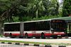 Thumbnail: TIB1163P — Historical archive of a Mercedes-Benz O.405G (Hispano Habit) articulated (bendy) bus operating on service 187 under SMRT Buses. Buses of this model type have since been completely retired from passenger service.
