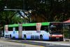 Thumbnail: TIB1208U — Historical archive of a Mercedes-Benz O.405G (Hispano Habit) articulated (bendy) bus operating on service 67 under SMRT Buses. Buses of this model type have since been completely retired from passenger service.