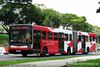 Thumbnail: TIB1235R — Historical archive of a Mercedes-Benz O.405G (Hispano Habit) articulated (bendy) bus operating on service 176 under SMRT Buses. Buses of this model type have since been completely retired from passenger service.