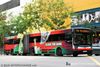 Thumbnail: TIB1236M — Historical archive of a Mercedes-Benz O.405G (Hispano Habit) articulated (bendy) bus operating on service 176 under SMRT Buses. Buses of this model type have since been completely retired from passenger service.