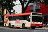 Thumbnail: TIB559M — Historical archive of a Mercedes-Benz O.405 (Hispano Carrocera) single-deck bus operating on service 856 under SMRT Buses. Photographed in June 2014, buses of this model type have since been completely retired from passenger service.