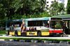 Thumbnail: TIB563A — Historical archive of a Scania L113CRL (Walter Alexander Strider) single-deck bus operating on service 187 under SMRT Buses. Buses of this model type have since been completely retired from passenger service.
