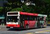Thumbnail: TIB597C — Historical archive of a Mercedes-Benz O.405 (Hispano Carrocera) single-deck bus operating on service 106 under SMRT Buses. Buses of this model type have since been completely retired from passenger service.