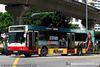 Thumbnail: TIB605M — Historical archive of a Mercedes-Benz O.405 (Hispano Carrocera) single-deck bus operating on service 700 under SMRT Buses. Buses of this model type have since been completely retired from passenger service.