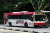 Thumbnail: TIB738M — Historical archive of a Mercedes-Benz O.405 (Hispano Carrocera) single-deck bus operating on service 188 under SMRT Buses. Buses of this model type have since been completely retired from passenger service.