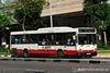 Thumbnail: TIB844P — Historical archive of a Scania L113CRL (ELBO) single-deck bus operating on service 187 under SMRT Buses. Buses of this model type have since been completely retired from passenger service.