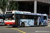 Thumbnail: TIB911D — Historical archive of a Dennis Lance (UMW Malaysia) single-deck bus operating on service 169 under SMRT Buses. Buses of this model type have since been completely retired from passenger service.