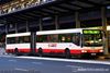 Thumbnail: TIB977P — Historical archive of a Mercedes-Benz O.405G (Hispano MK2) articulated (bendy) bus operating on service 950 under SMRT Buses. Buses of this model type have since been completely retired from passenger service.