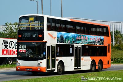 Dennis Trident