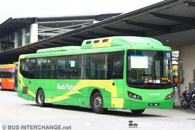 Bus 601 - Nadi Putra Daewoo BV120MA (WTJ1488)