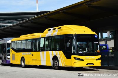 WUJ5705