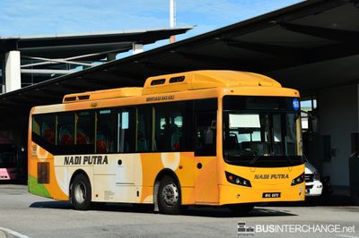 WVQ6970