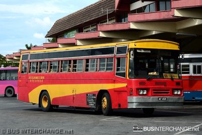 Bus 53 - Red & Yellow Omnibus Co. Sdn Bhd (ACF4529)
