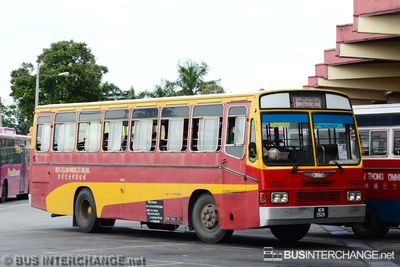 Bus 51 - Red & Yellow Omnibus Co. Sdn Bhd (ACN2529)