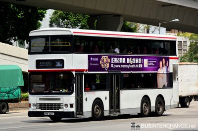 Bus 36A - Kowloon Motor Bus Dennis Dragon (HB2214)