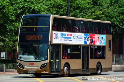 Bus 53 - Kowloon Motor Bus Alexander Dennis Enviro 400 (RT4699)