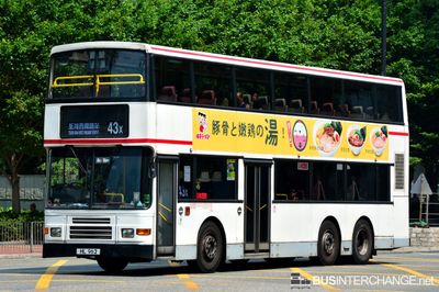 HL 962 · 43X
