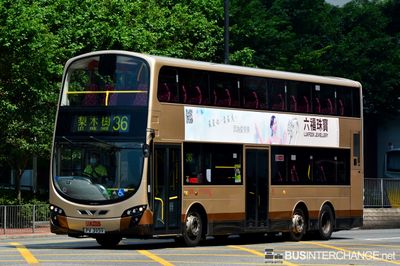 Bus 36 - Kowloon Motor Bus Volvo B9TL (PV3959)