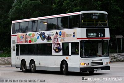 Bus 71A - Kowloon Motor Bus Volvo Olympian (GD2390)