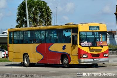 Bus 7 - S&S International Hino AK176K (BDW6463)