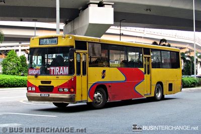 Bus 2 - S&S International Hino AK176K (BDW8058)