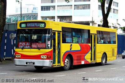 S&S International Hino RK1JSKA (BGR5030) - PULAI