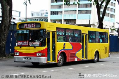 S&S International Nissan Diesel JP251 (BGU3612) - PERMAS